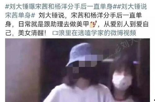 刘大锤恋情爆料最新消息,新恋情曝光，细节惊人！