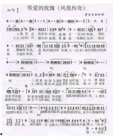 一生所爱最新爆料歌词翻译,揭秘最新爆料歌词背后的情感纠葛