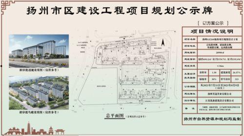 喜濑健最新动态爆料,揭秘娱乐圈幕后真相