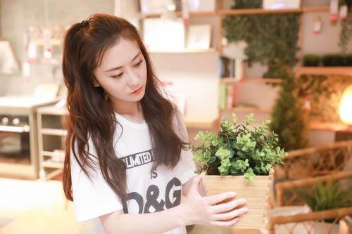 李梦爆料照片大全最新视频,照片大全幕后揭秘